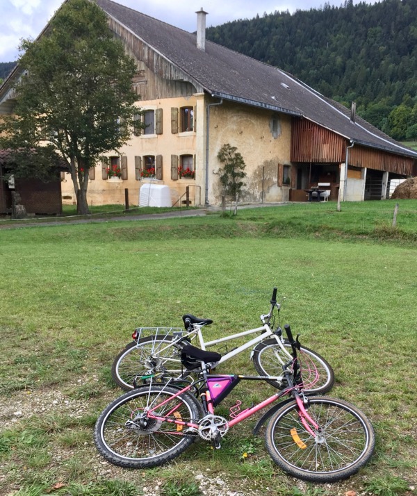 Edition-2017-23.jpg Edition-2017-23.jpg